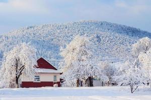 paysage d'hiver pittoresque photo