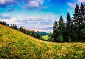 paysage d'été coloré photo