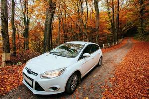 voiture sur un chemin forestier photo