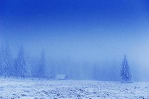 brouillard fantastique dans les montagnes photo