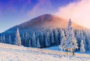 paysage d'hiver ensoleillé photo