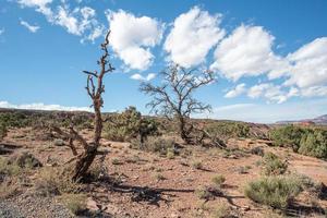 parc national de capitol reef par une journée ensoleillée dans l'état de l'utah. photo