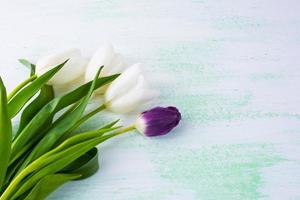 fond de motif floral de tulipes blanches photo