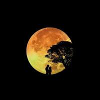 pleine lune, belle lune, lune souriante, la nuit, photo