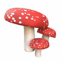 champignon rouge isolé sur fond blanc photo