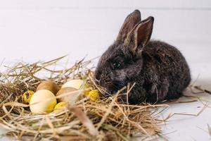 lapin de pâques avec des oeufs de pâques et un nid de foin. petit lapin gris. photo