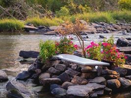 toilettes et nature photo