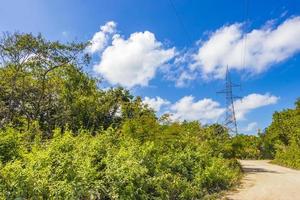 conduite sur route de chemin de gravier dans la nature de la jungle de tulum mexique. photo