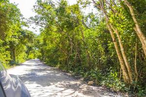 conduite sur route de chemin de gravier dans la nature de la jungle de tulum mexique. photo