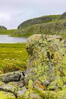 rivière horntjerni avec gros rocher coloré sur veslehodn veslehorn, norvège. photo