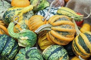 un groupe de courges colorées à friedrichsdorf photo