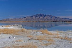 couleurs dramatiques dans le grand bassin photo