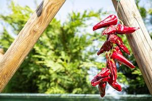 piment d'espelette épice légume séché france aliments frais aliments sains casse-croûte copie espace arrière-plan alimentaire végétarien rustique photo