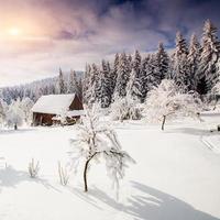 belle maison en bois photo