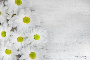 fleurs sur une table en bois peinte. fond de fleurs pour le texte. fond floral, bordure fleurie. fleurs épanouies. photo