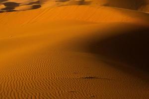 belles dunes de sable dans le désert du sahara au maroc. paysage en afrique dans le désert. photo