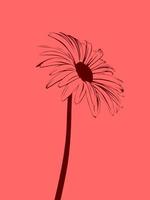 illustration simple fleur minimals moderne photo