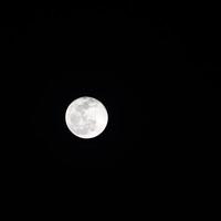 pleine lune dans le ciel sombre pendant la nuit, grande super lune dans le ciel à des heures proches photo