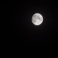 timelapse de la lune, stock time lapse pleine lune se lève dans le ciel sombre de la nature, la nuit. laps de temps de disque de pleine lune avec la lune s'allume dans le ciel noir de nuit. séquences vidéo gratuites de haute qualité ou timelapse photo
