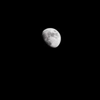 timelapse de la lune, stock time lapse pleine lune se lève dans le ciel sombre de la nature, la nuit. laps de temps de disque de pleine lune avec la lune s'allume dans le ciel noir de nuit. séquences vidéo gratuites de haute qualité ou timelapse photo