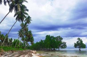 belle vue sur la plage photo