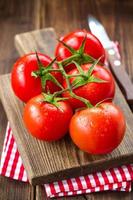 tomates photo
