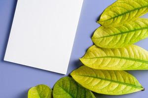 feuilles jaunes en cascade et la note sur la table photo