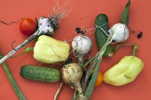 tomate, concombre, oignon vert et poivron. photo