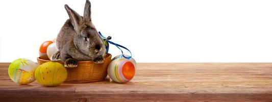 drôle de lapin de Pâques. concept de joyeuses fêtes de pâques. photo