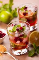 mojito aux canneberges photo