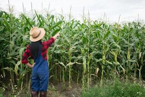 fermier heureux dans le champ de maïs photo