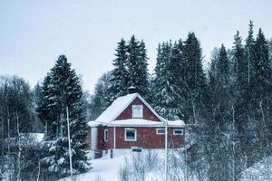 Maison rouge couverte de neige dans la forêt de pins en hiver photo