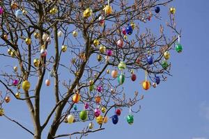 oeufs de pâques colorés sur l'arbre dans le jardin. photo