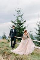 beau couple de mariage s'embrassant et s'embrassant près de la rive d'une rivière de montagne avec des pierres photo