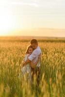 mariés dans un champ de blé. le couple s'embrasse au coucher du soleil photo