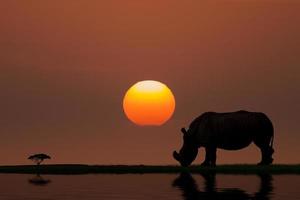 coucher de soleil en afrique photo