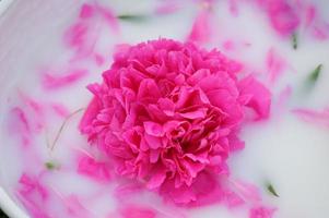 bain de bébé et fleurs de pivoine. pivoines roses. bain pour enfants sur fond vert. photo