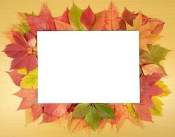 feuilles d'automne et feuille de papier photo