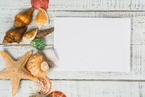 coquillages de mer sur fond de bois blanc photo