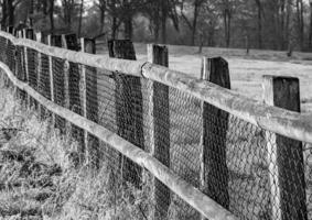 photo en niveaux de gris d'une clôture en bois