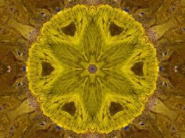 reflet de fleurs colorées en motif kaléidoscope. abstrait jaune et bleu. photographie gratuite. photo