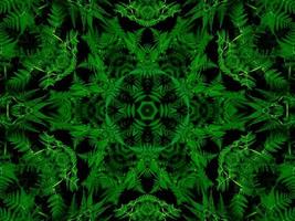 reflet des feuilles fond abstrait. motif kaléidoscope vert. photographie gratuite. photo