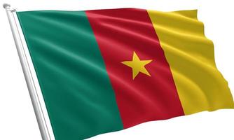 gros plan agitant le drapeau du cameroun photo