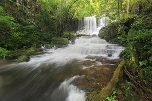 cascades forêt tropicale la saison des pluies, thaïlande. photo