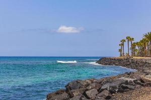 playa del camison paysage panorama canari île espagnole tenerife afrique. photo