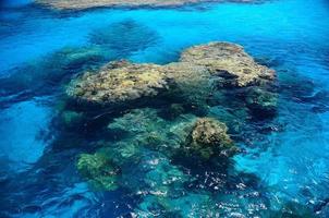 grand stock de corail dans l'eau de mer bleue photo