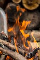 brûler des bûches dans un brasier. les flammes sur le fond du bois récolté photo