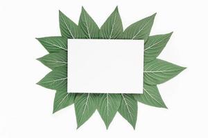 motif de feuille verte créative avec du papier blanc photo