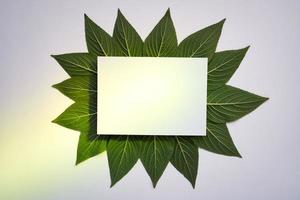 motif de feuille verte créative avec papier blanc et projecteur vert photo