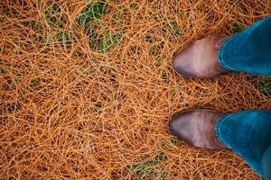 feuillage fin orange au sol avec chaussures marron photo